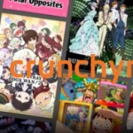 Crunchyroll : la boutique supprime tous les mangas et une bonne partie de ses Blu-ray et DVD Crunchyroll : la boutique supprime tous les mangas et une bonne partie de ses Blu-ray et DVD