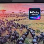 Hisense 65UR8S logo Dolby Vision 2 // Source : Sylvain Pichot - Frandroid