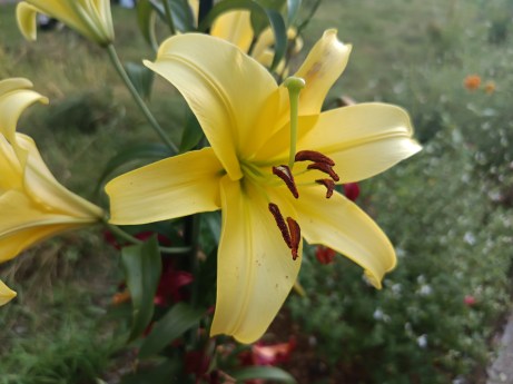 IMG_20260621_202100_839