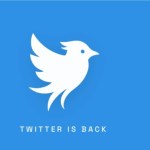 Opération Bluebird : Twitter renaît de ses cendres, mais Elon Musk reste en embuscade