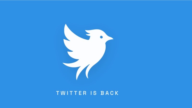 Opération Bluebird : Twitter renaît de ses cendres, mais Elon Musk reste en embuscade
