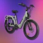 Intersport retire 200 € sur son vélo électrique endurant taillé pour les familles Intersport retire 200 € sur son vélo électrique endurant taillé pour les familles
