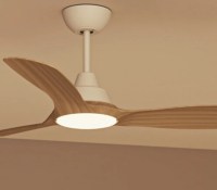 Philips Olas