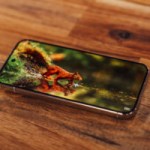 Pixel 11 Pro 2