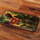 Google Pixel 11 Pro à -100 € : le nouveau photophone premium de Google se rend déjà plus accessible