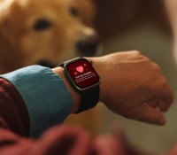 Huawei Watch D3
