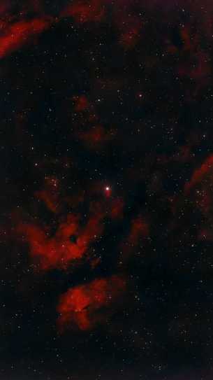 IC 1318