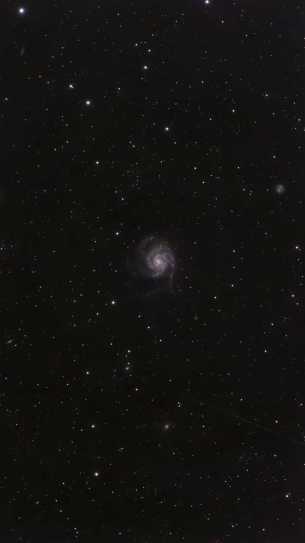 M 101