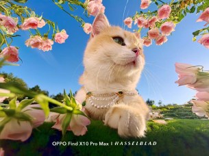 Téléobjectif Oppo Find X10 Pro Max 31_001RJIkpgy1ih5a4ro61yj635s2dcqv602