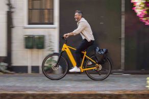 Velo de Ville AEB PRO 2027 Diamant