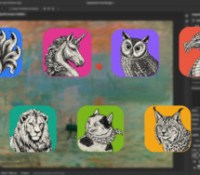 ArtCraft Adobe Creative Cloud