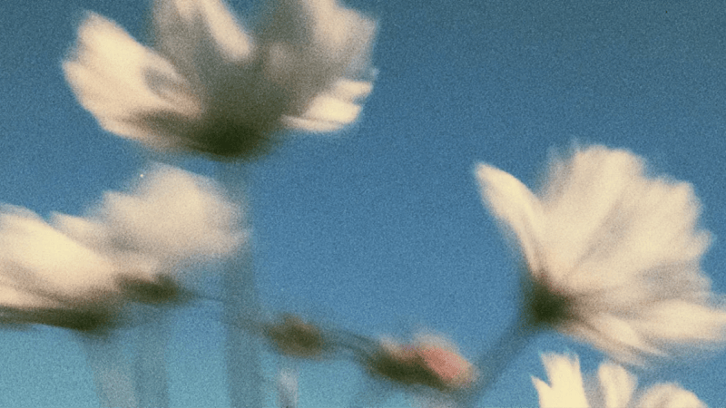 Microsoft retouche mieux les images qu’OpenAI avec MAI-Image-2.7