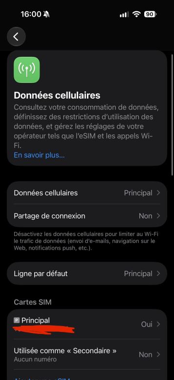 menu SIM iPhone