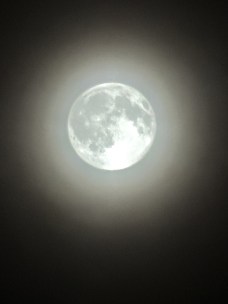 IMG_5638
