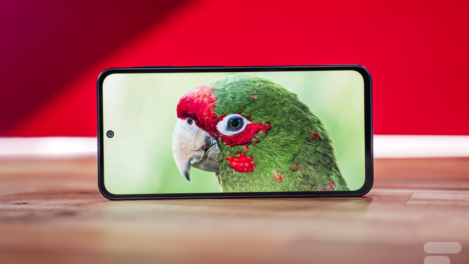 Galaxy A38 : la mauvaise surprise qui guette l’écran du milieu de gamme de Samsung