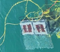Les cellules testées en mer par l'équipe