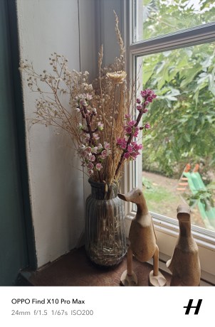oplus_8593088544