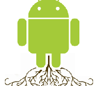root