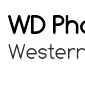 Western Digital lance une application pour visualiser ses photos Western Digital lance une application pour visualiser ses photos