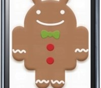 galaxy-s-gingerbread1