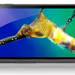 Le Galaxy Nexus sera disponible dès le 7 décembre au Canada Le Galaxy Nexus sera disponible dès le 7 décembre au Canada