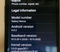 nexus-update-store1-342×650