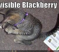 invisibleblackb128577490643915611