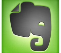 Evernote_Icon_256