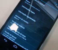 nexus