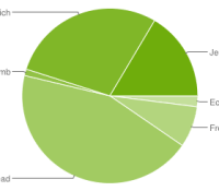 chart-répartition-des-versions-février-february-2013-android-google-01