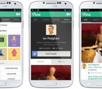 Vine
