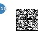 [MAJ] Jaxo rejoint l&rsquo;Open Handset Alliance