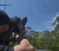 gif-1