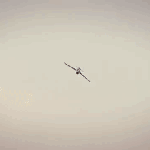 Un unboxing dans un avion de chasse, une bonne idée ?