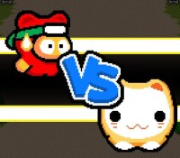 ninja-spinki-challenges
