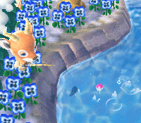 Animal Crossing