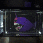 Cette startup veut ressusciter le cadre photo numérique avec des hologrammes Cette startup veut ressusciter le cadre photo numérique avec des hologrammes