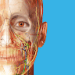 Atlas d&rsquo;anatomie humaine 2023