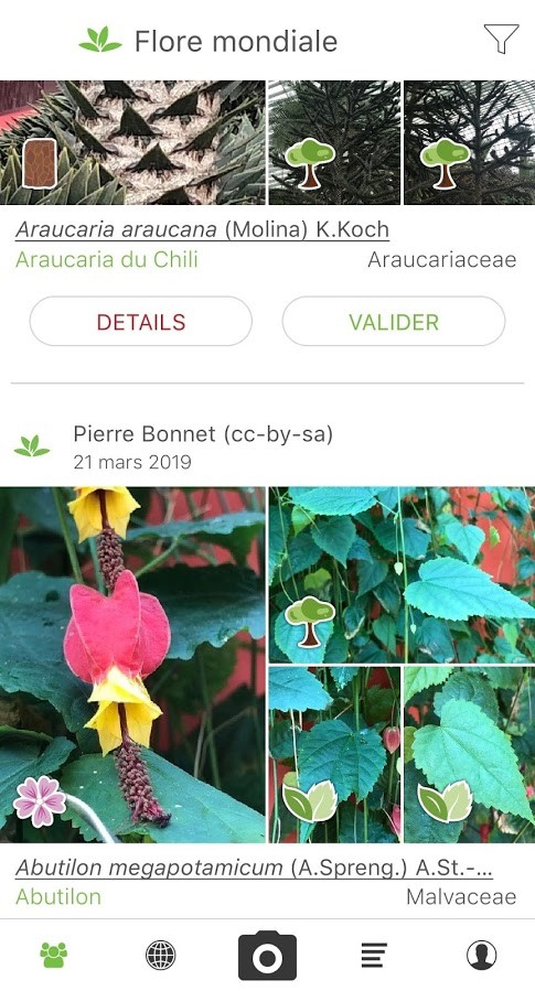 Capture d’écran 0 Capture d’écran 0