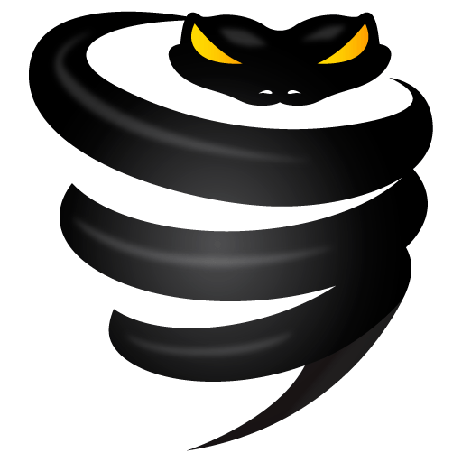 Logo pour VyprVPN