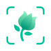 PictureThis Plante Identifier PictureThis Plante Identifier