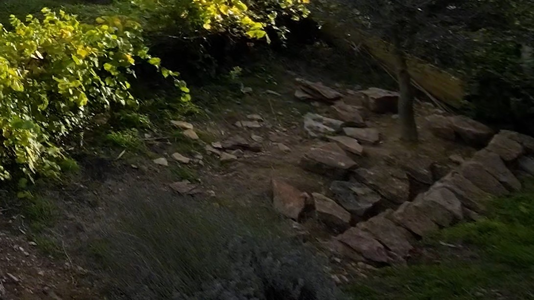 Zoom 4K - DJI Action 2 Zoom 4K - DJI Action 2