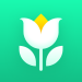 Plant Parent – Guide entretien