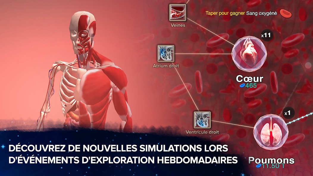 Capture d’écran 0 Capture d’écran 0