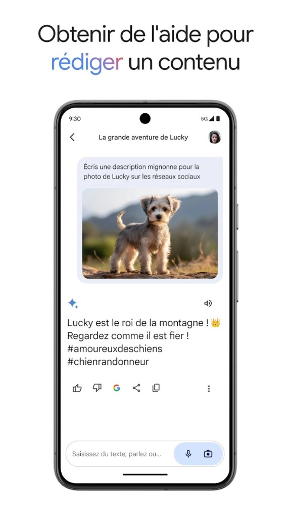Capture d’écran 5
